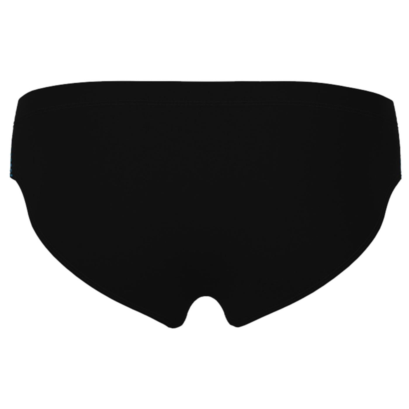 ARENA SWIM BRIEFS GRAPHIC