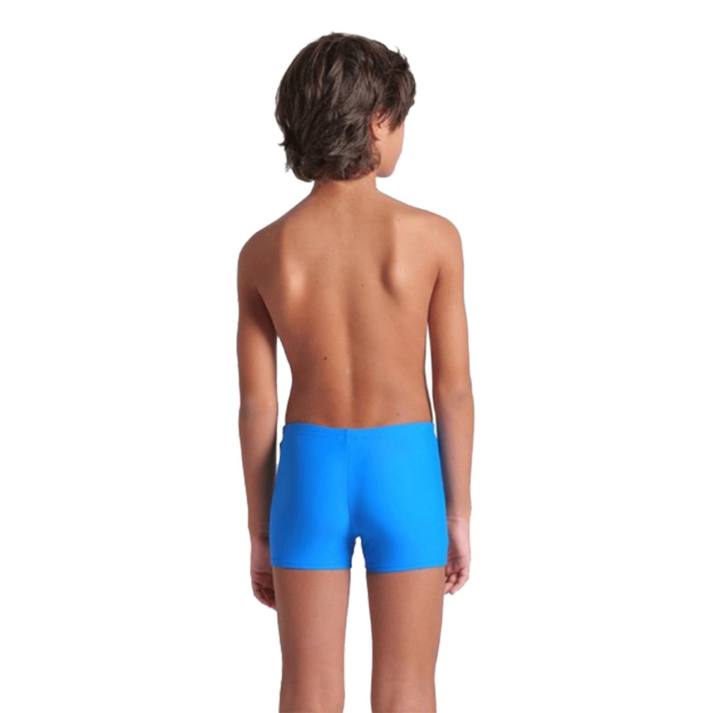 ARENA BOY TALES SWIM SHORT