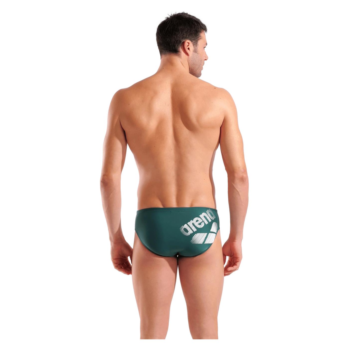 ARENA LOGOTYPE SWIM BRIEFS
