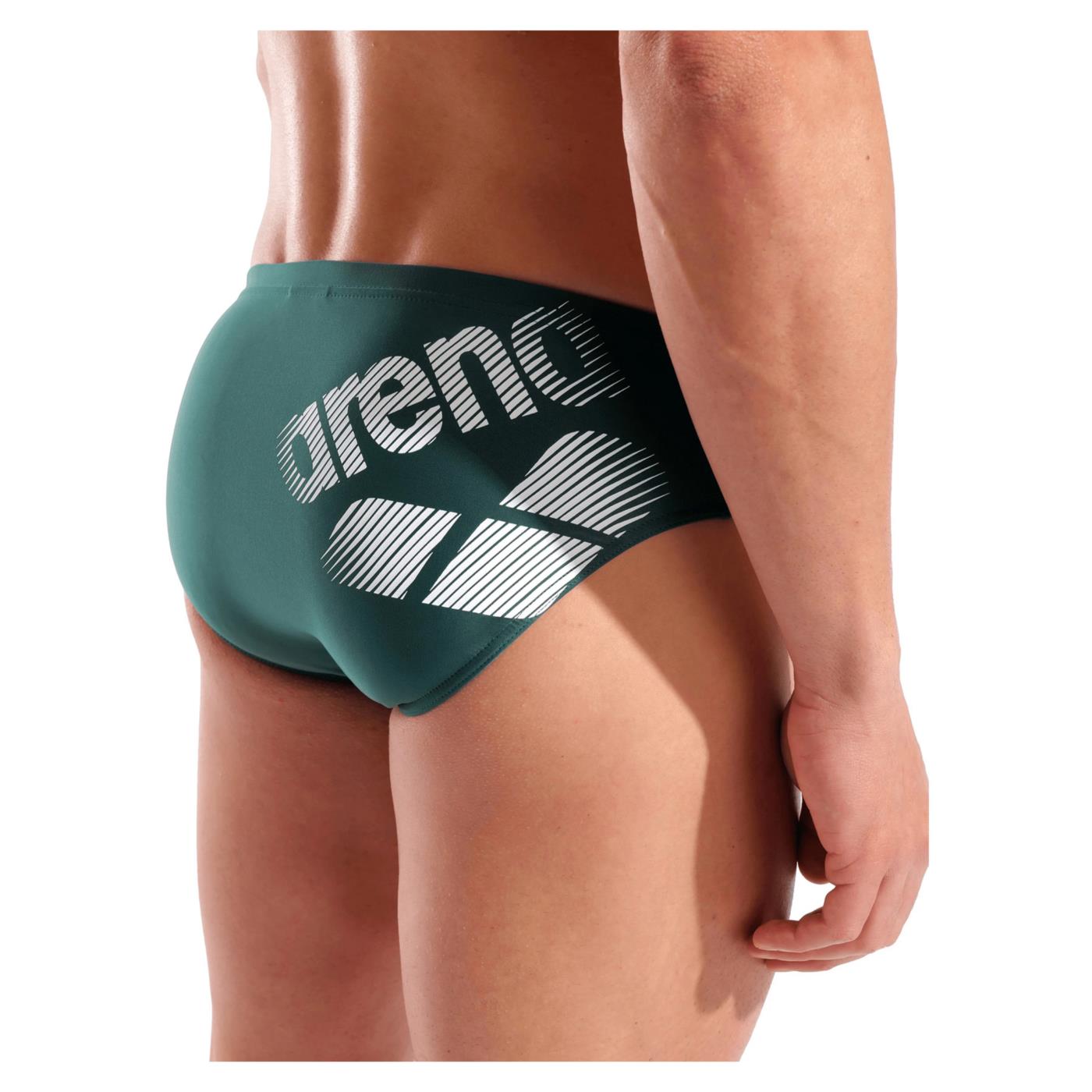 ARENA LOGOTYPE SWIM BRIEFS