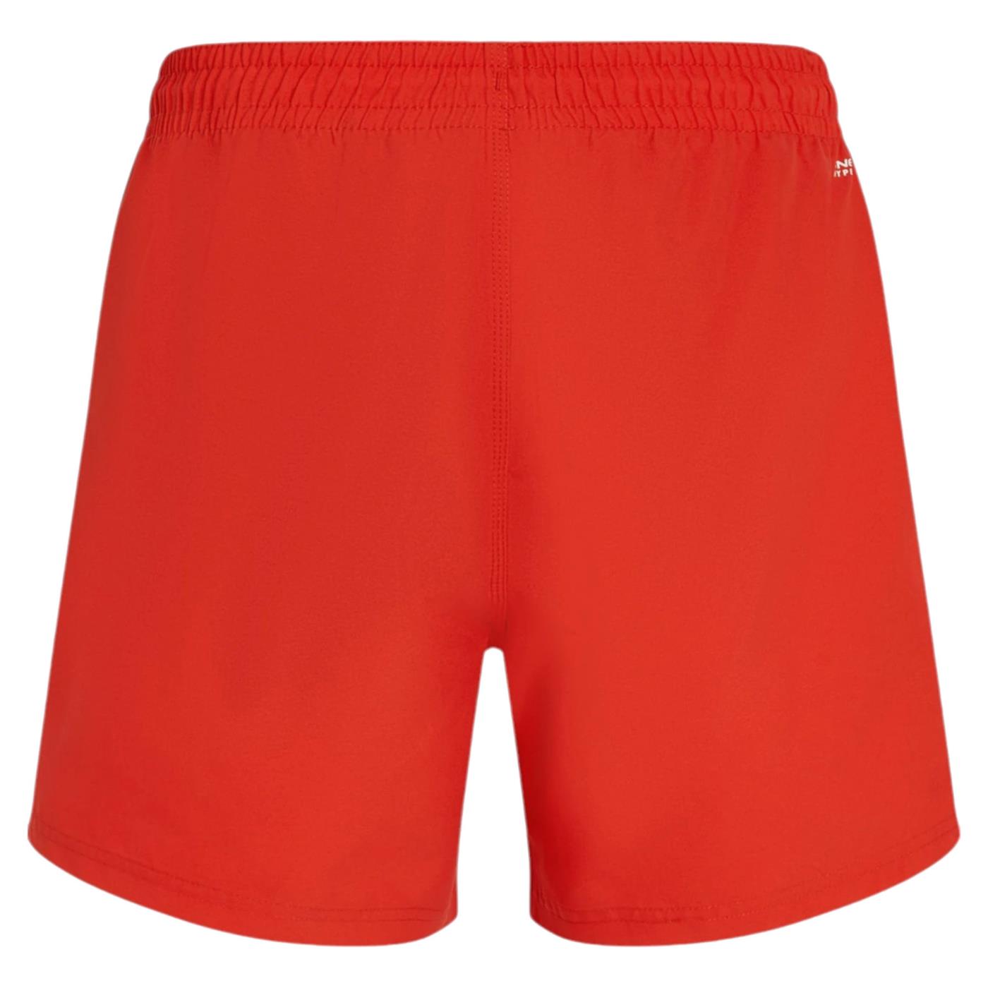 O'NEILL 15 INCH SWIMSHORTS