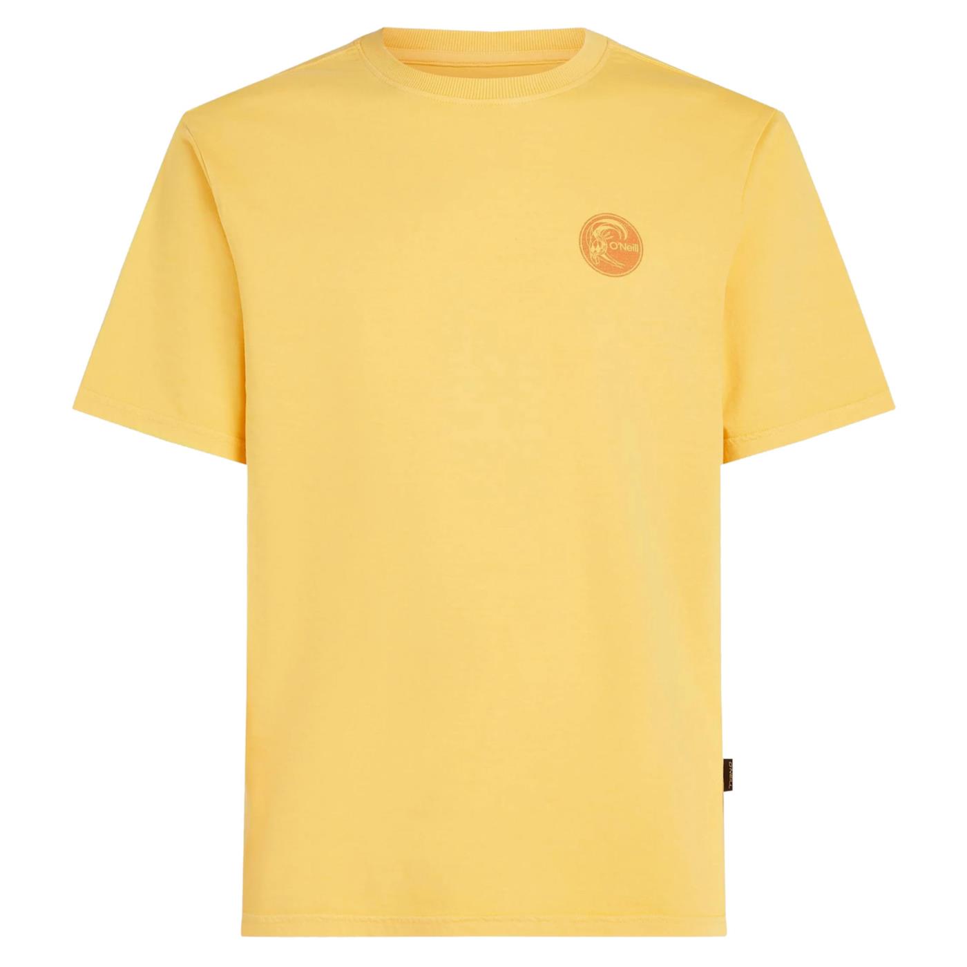 O'NEILL VINTAGE GRAPHIC T-SHIRT