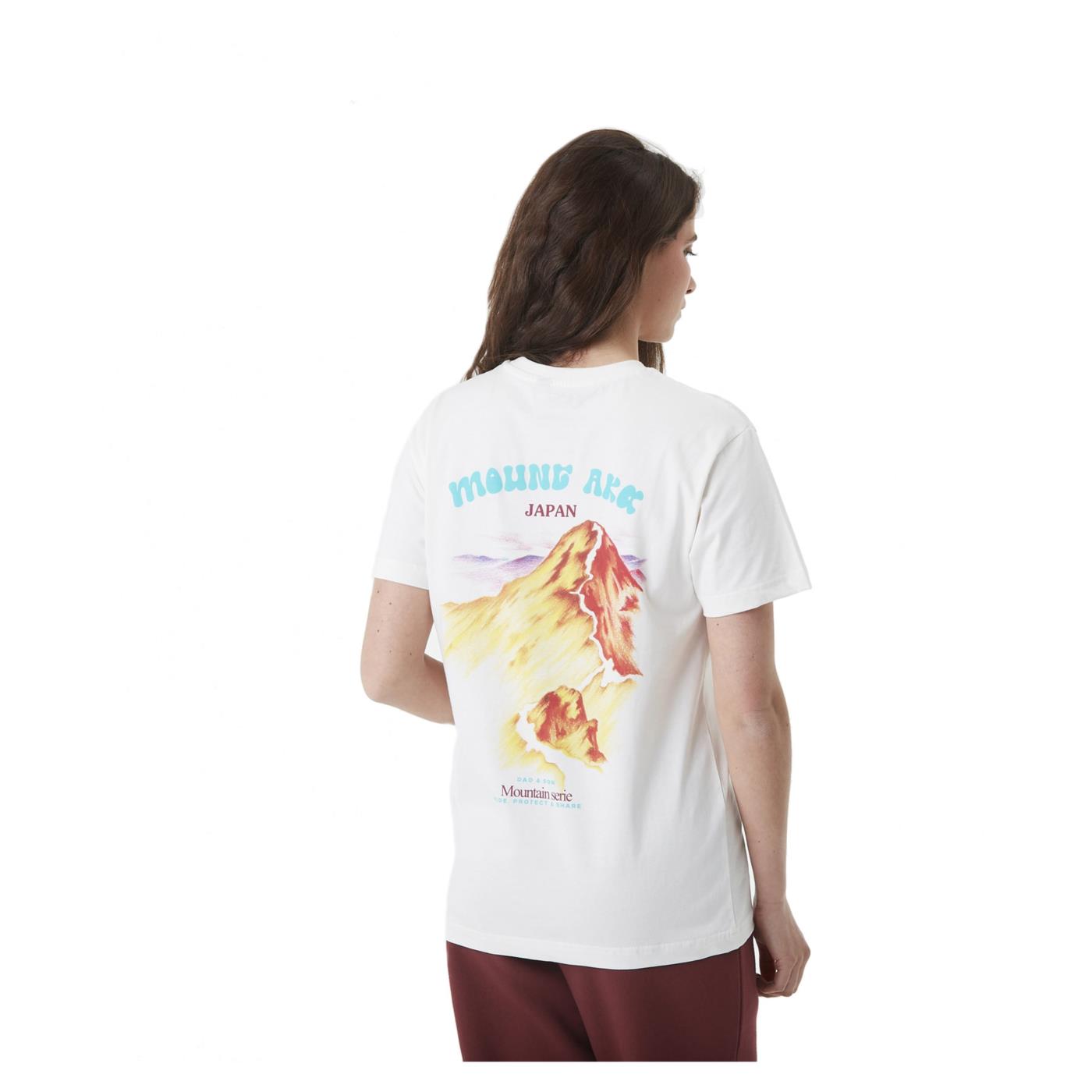 PICTURE DS MOUNT AKA TEE