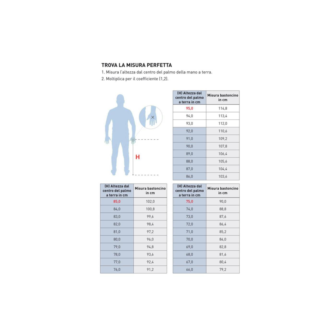 N&W CURVE SKY RACE ALU - ASTA FISSA