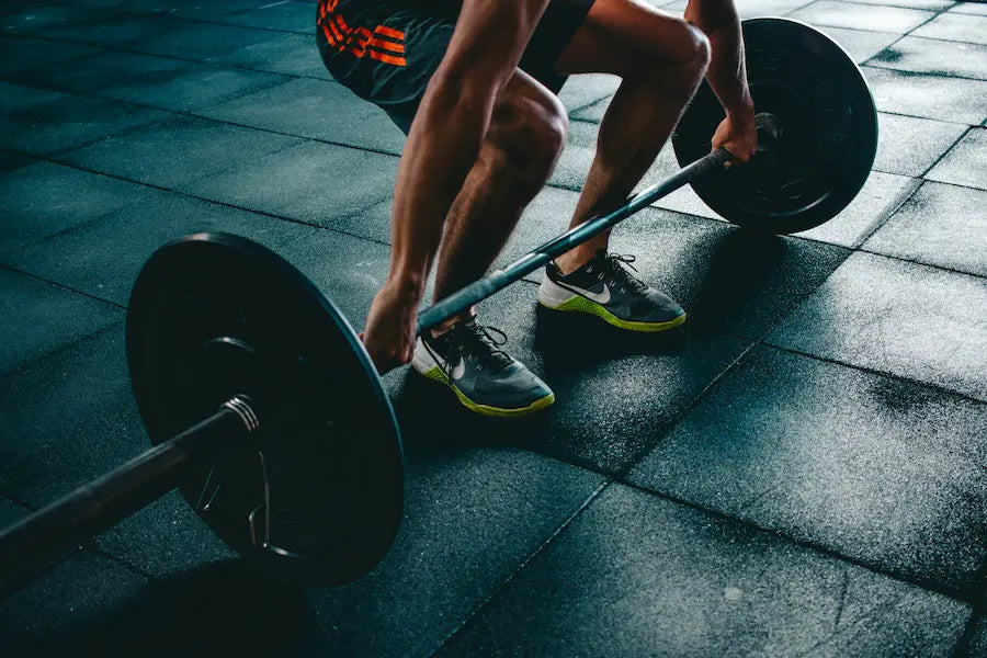 Palestra e Fitness