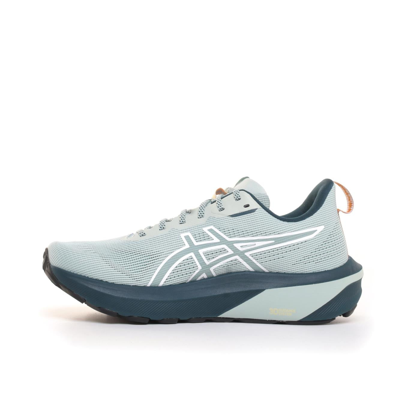 ASICS GT-1000 14 TR