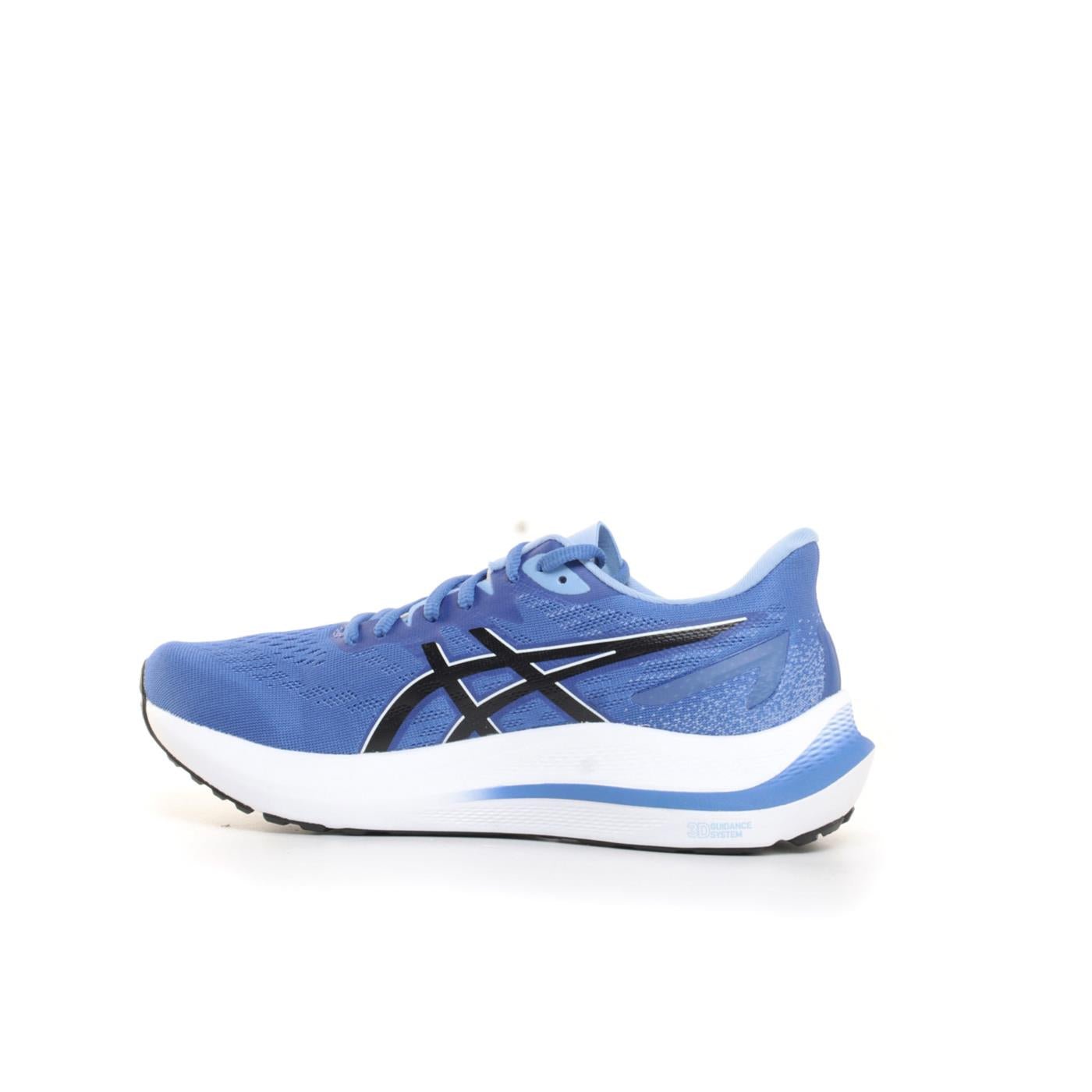 ASICS GT-2000 12 WOMAN
