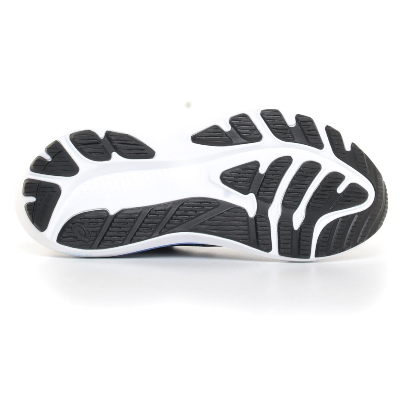 ASICS GT-2000 12 WOMAN