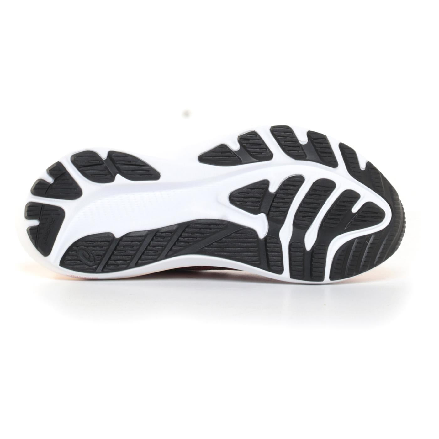 ASICS GT-2000 12 WOMAN