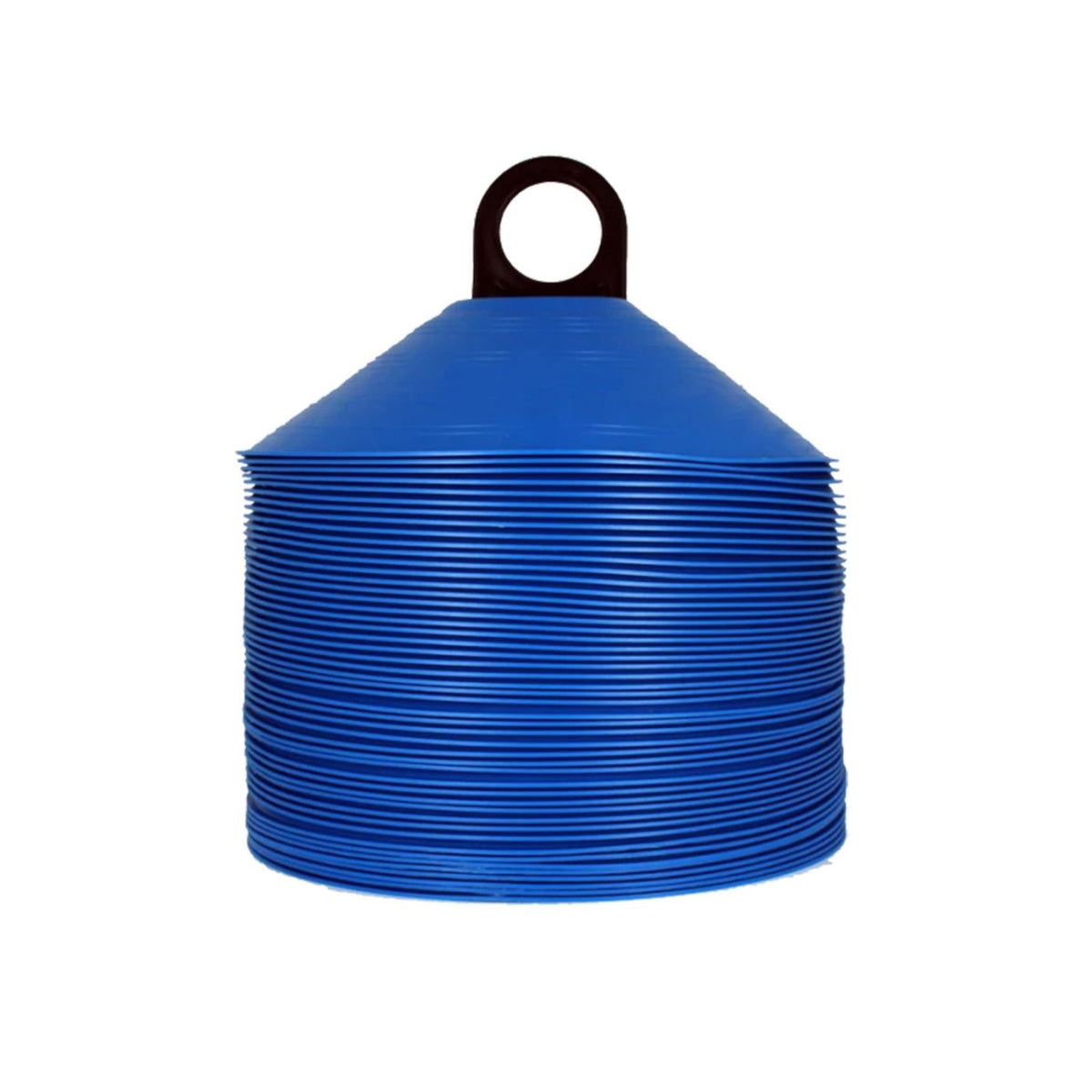 LEGAR 48 BLUE DELIMITERS