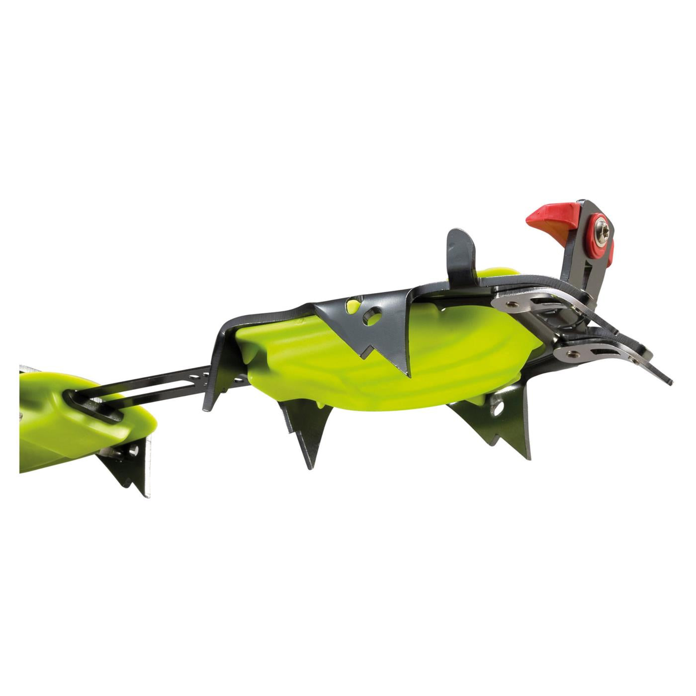 CAMP SKIMO NANOTECH