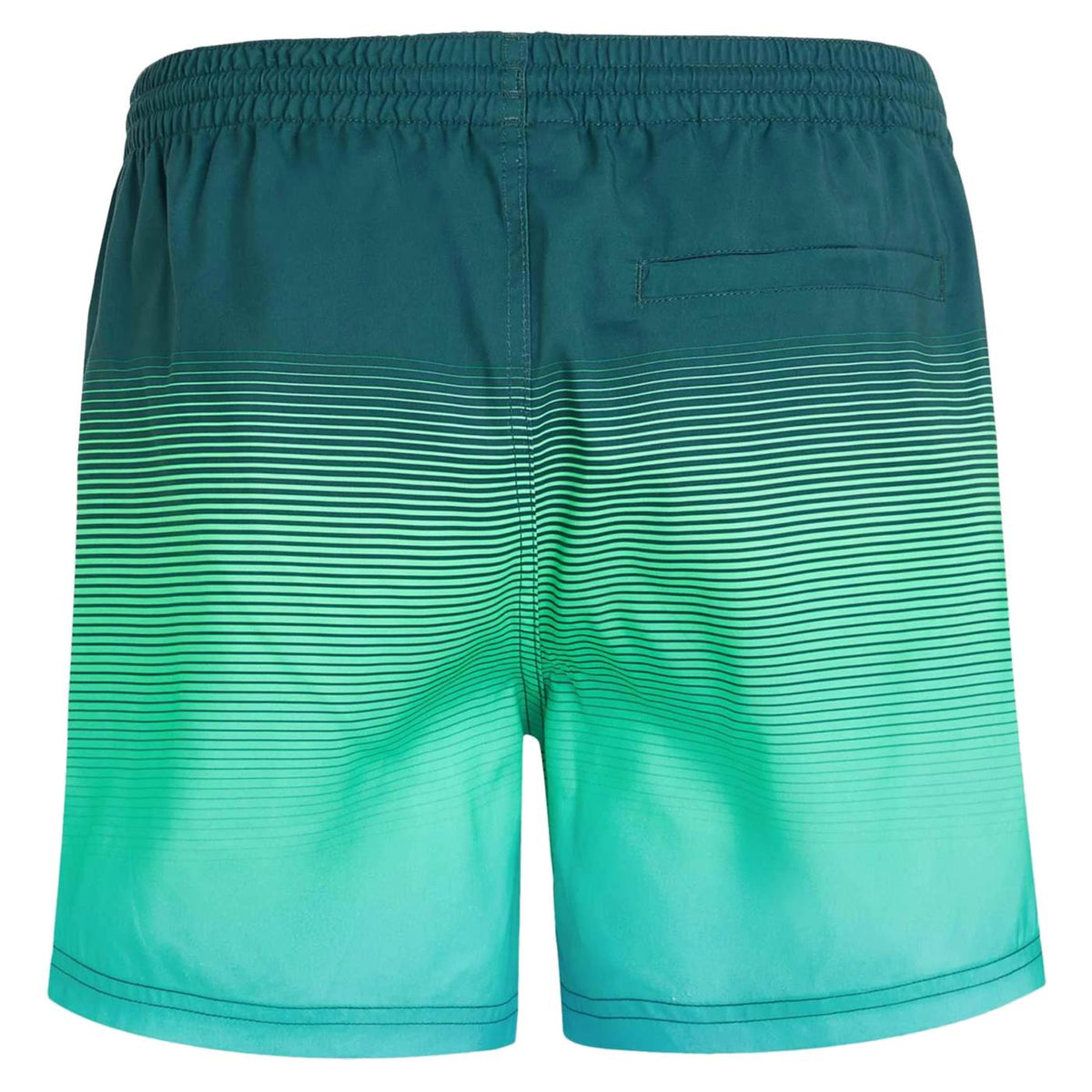 O'NEILL CALI GRADIENT SWIM SHORT - seconda immagine