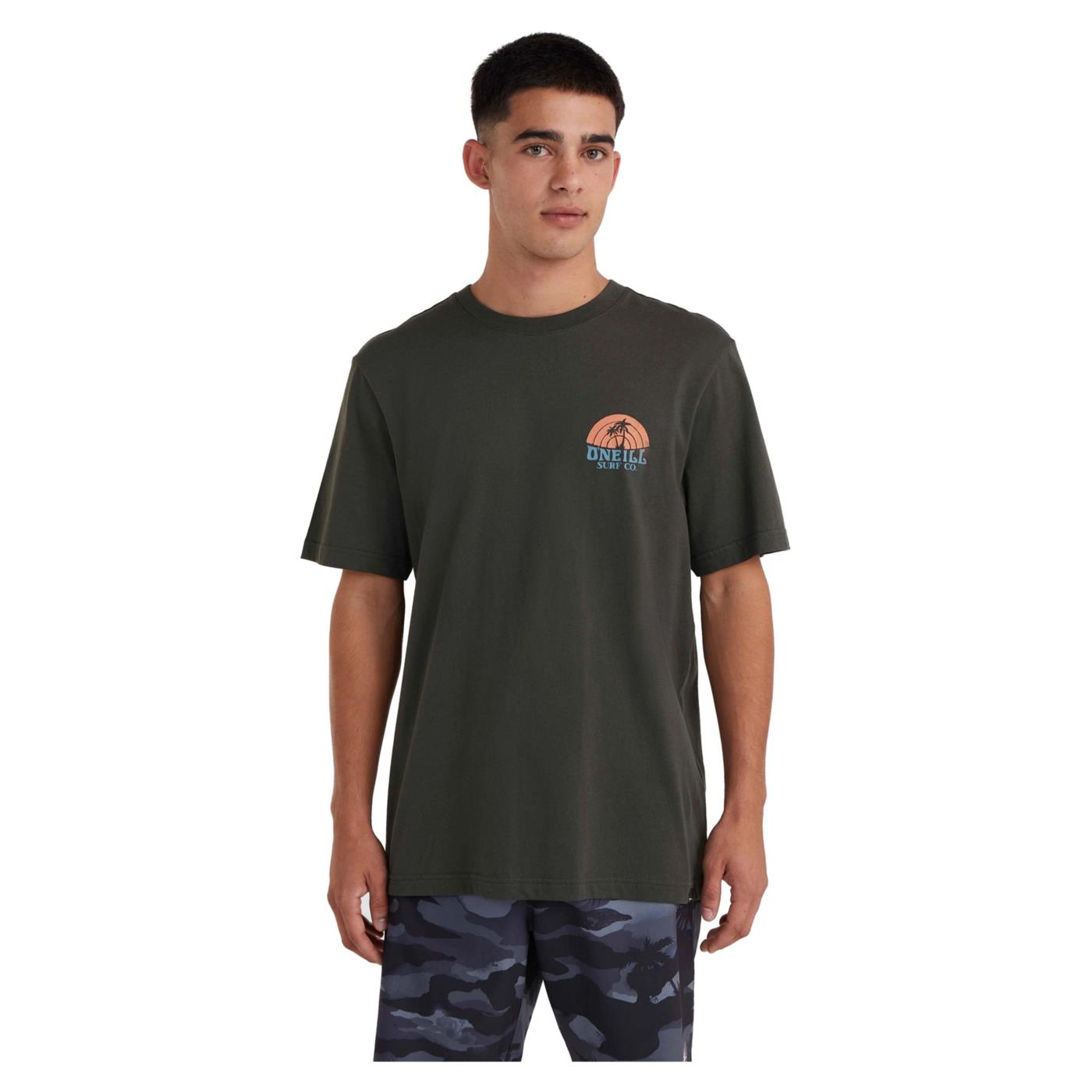 O'NEILL BEACH GRAPHIC T-SHIRT