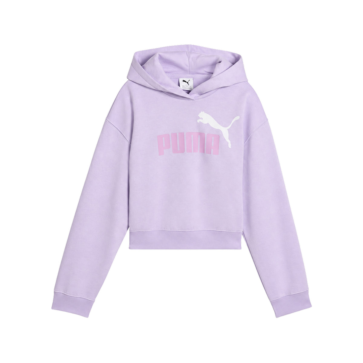 PUMA ESS 2COLOR LOGO HOODIE JR