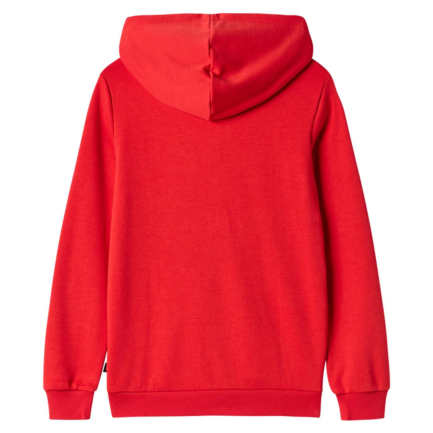 CHAMPION HOODED SWEATSHIRT