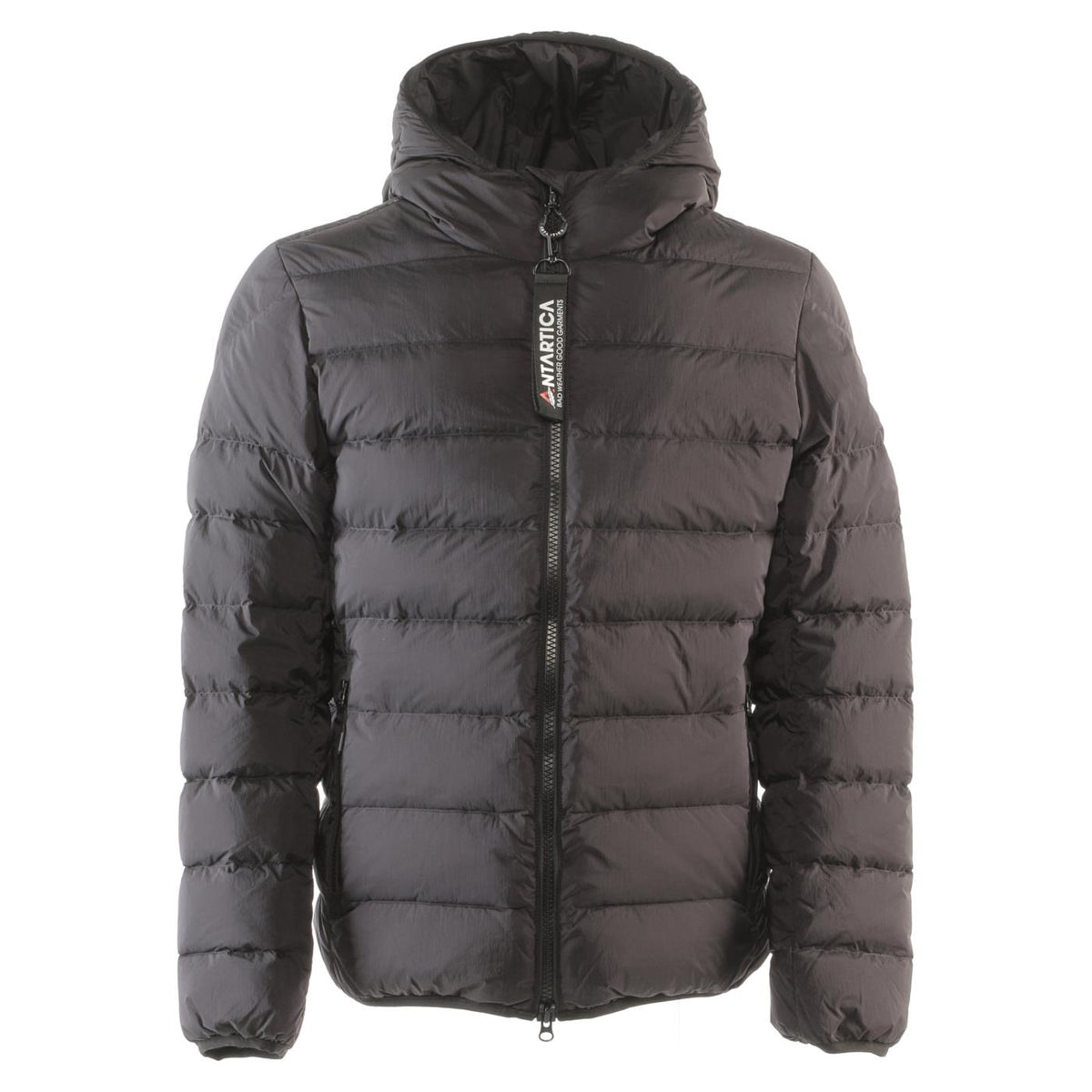 ANTARTICA TARO