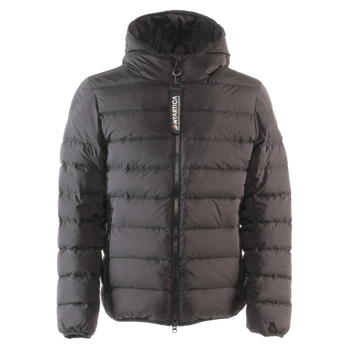 ANTARTICA TARO
