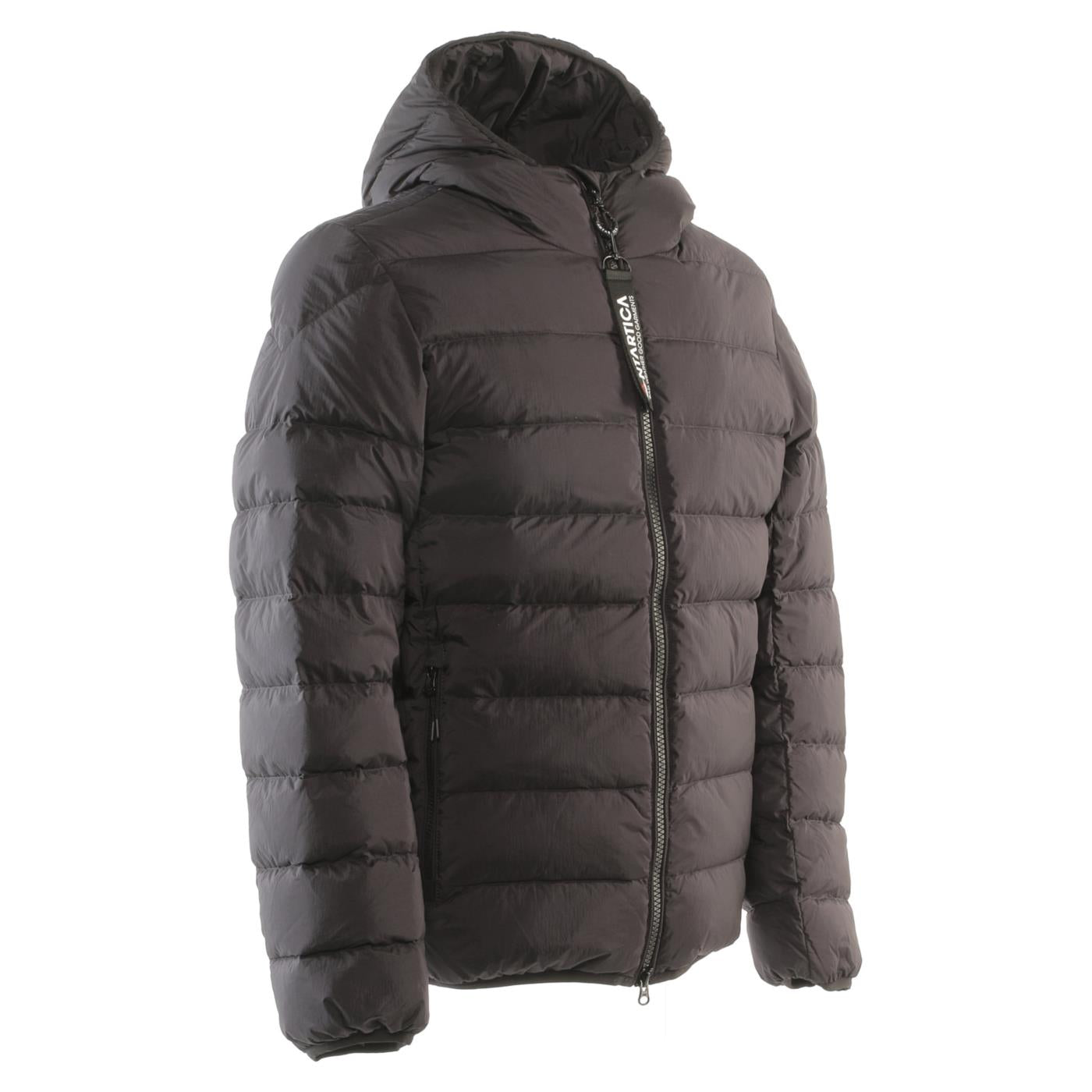 ANTARTICA TARO