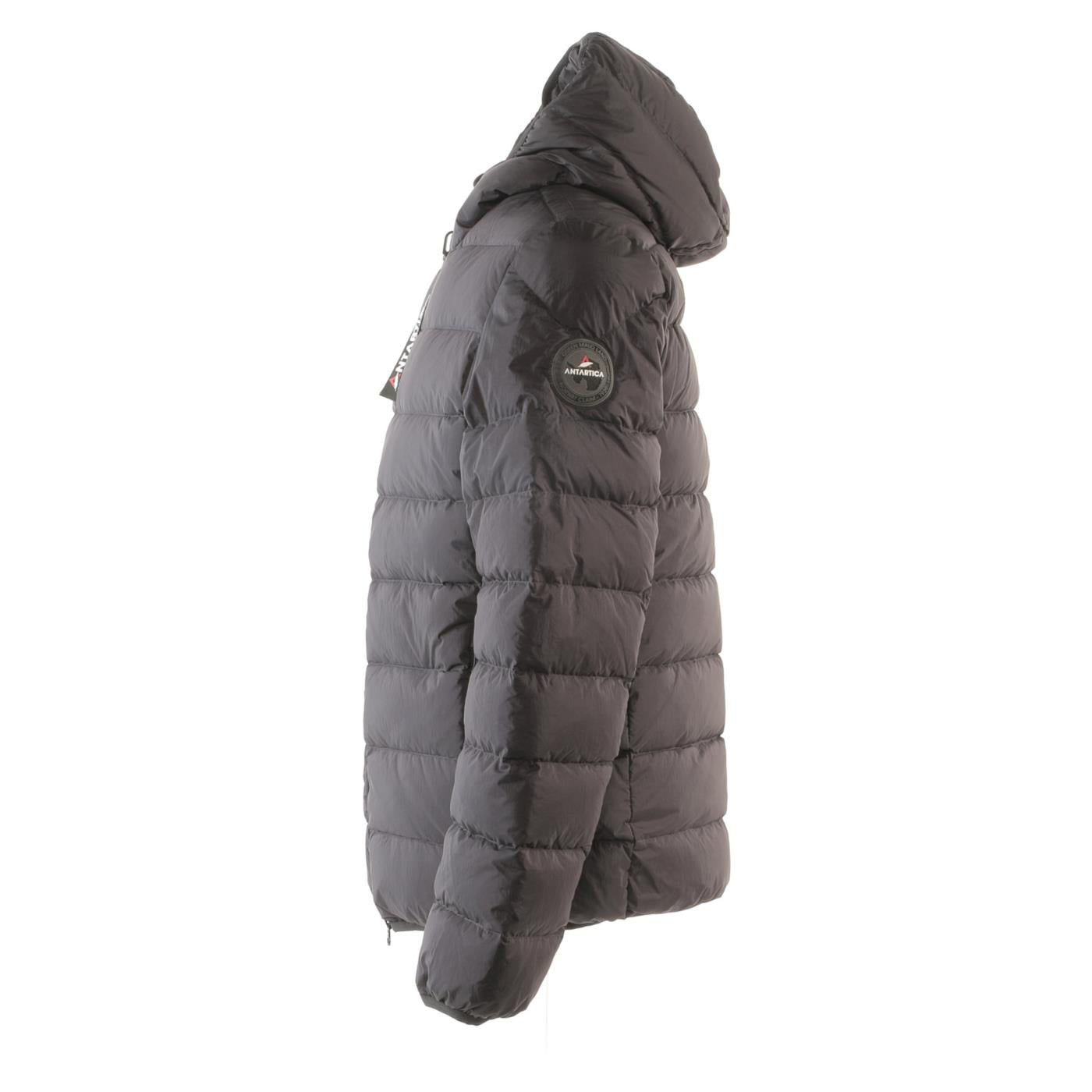 ANTARTICA TARO