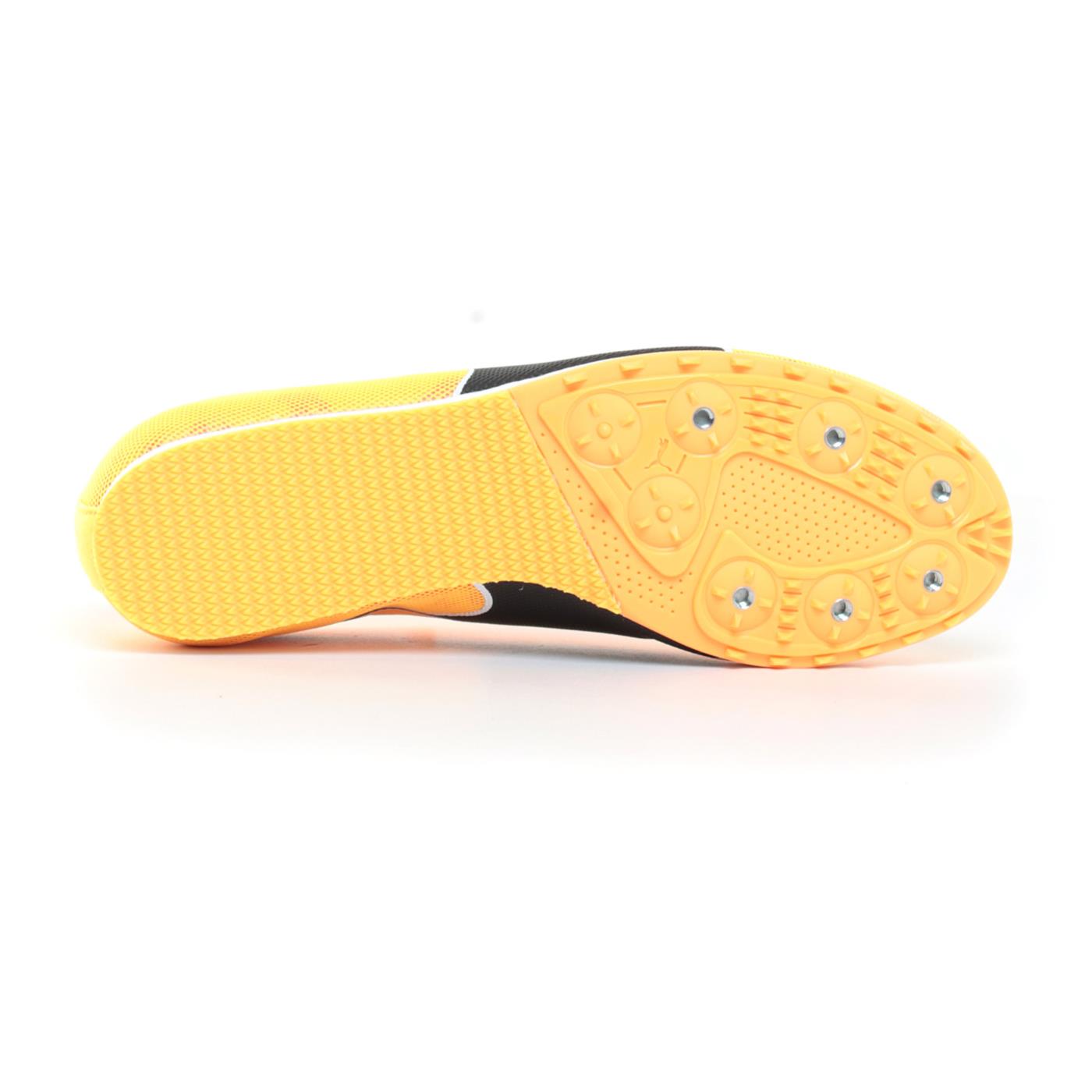 PUMA EVOSPEED STAR 8