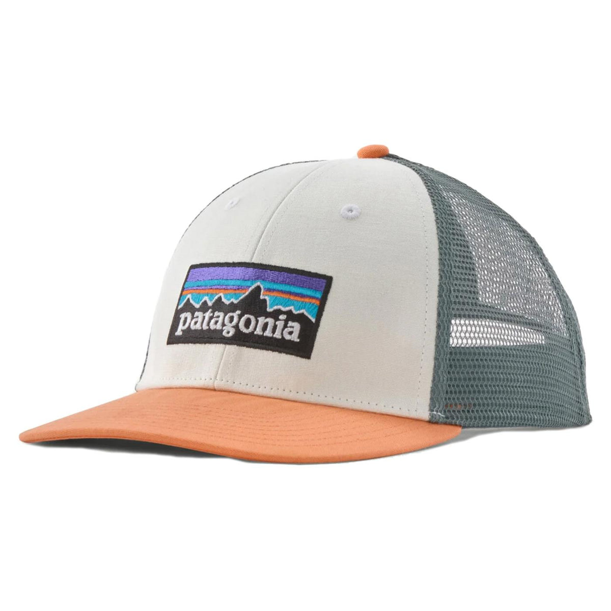 PATAGONIA P-6 LOGO LOPRO TRUCKER