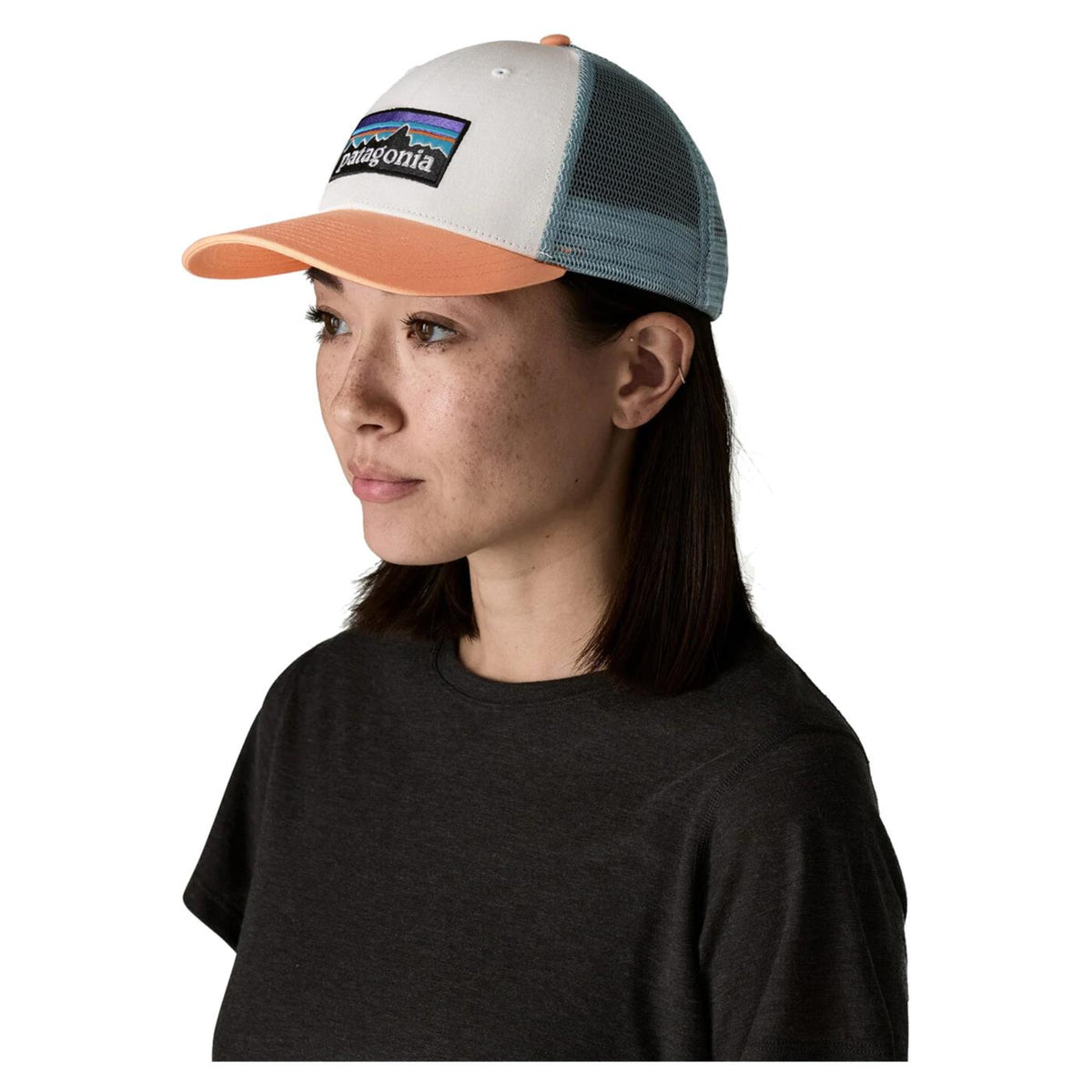 PATAGONIA P-6 LOGO LOPRO TRUCKER - seconda immagine