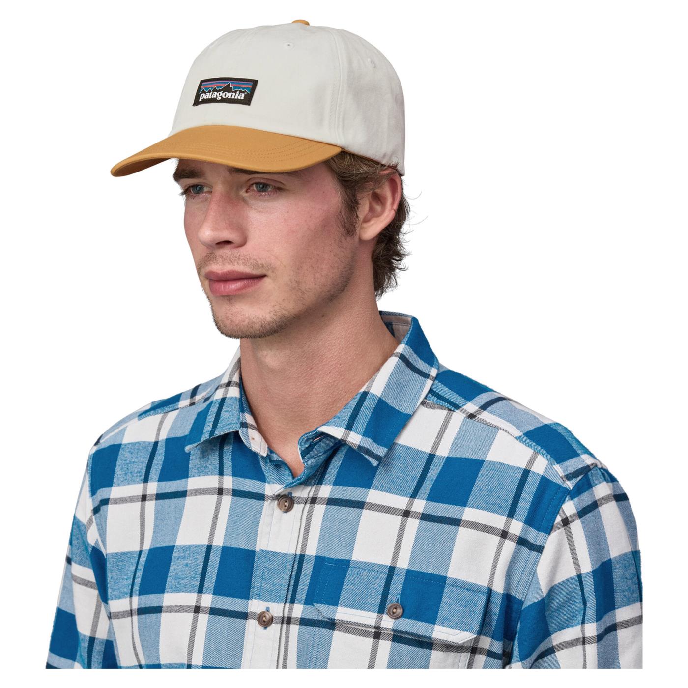 PATAGONIA P-6 LABEL TRAD CAP