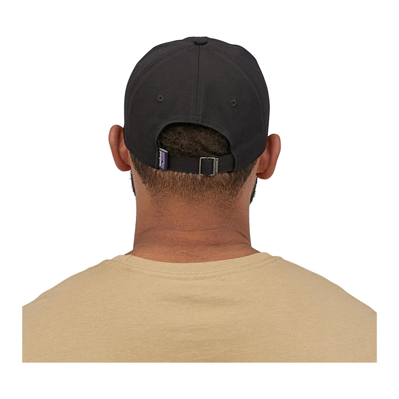 PATAGONIA P-6 LABEL TRAD CAP
