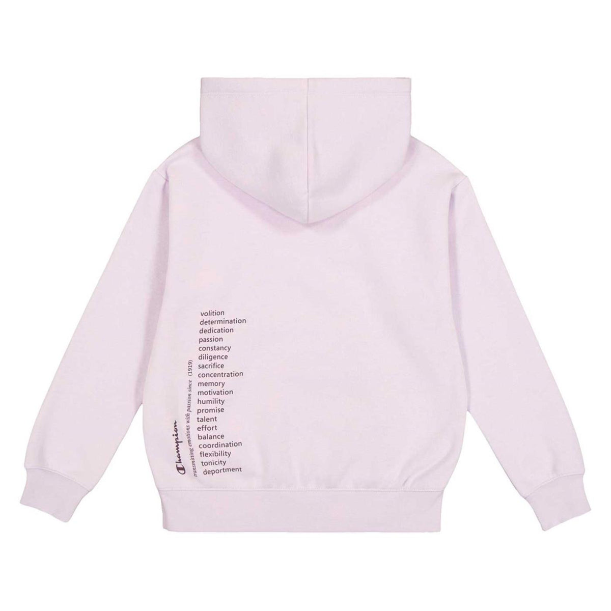 CHAMPION JR HOODED SWEATSHIRT - seconda immagine