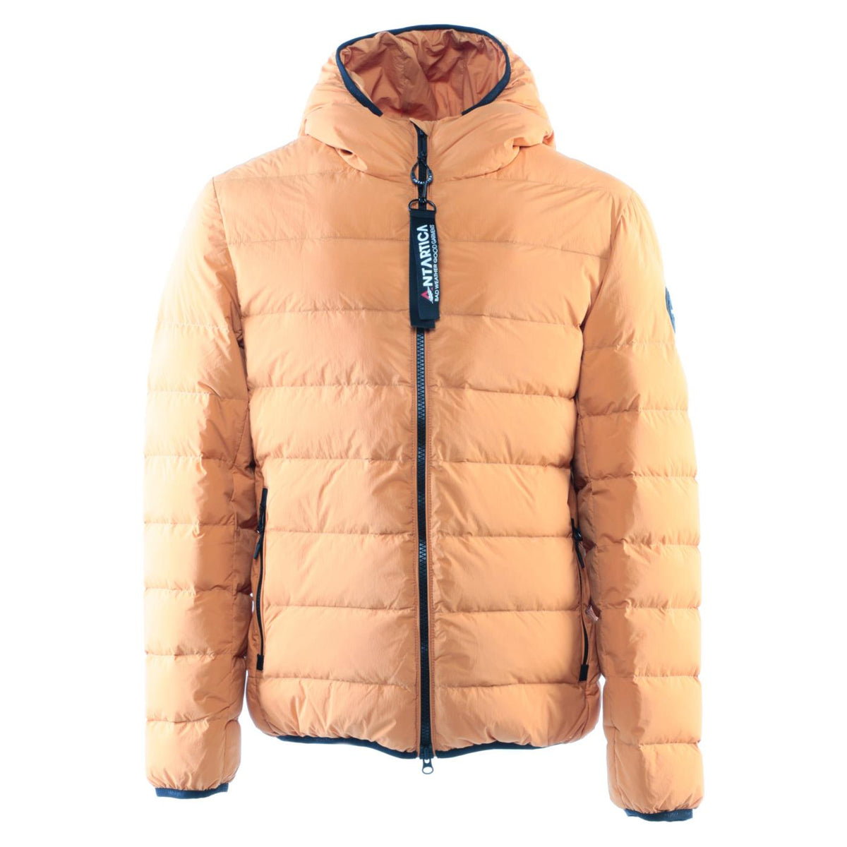 ANTARTICA TARO