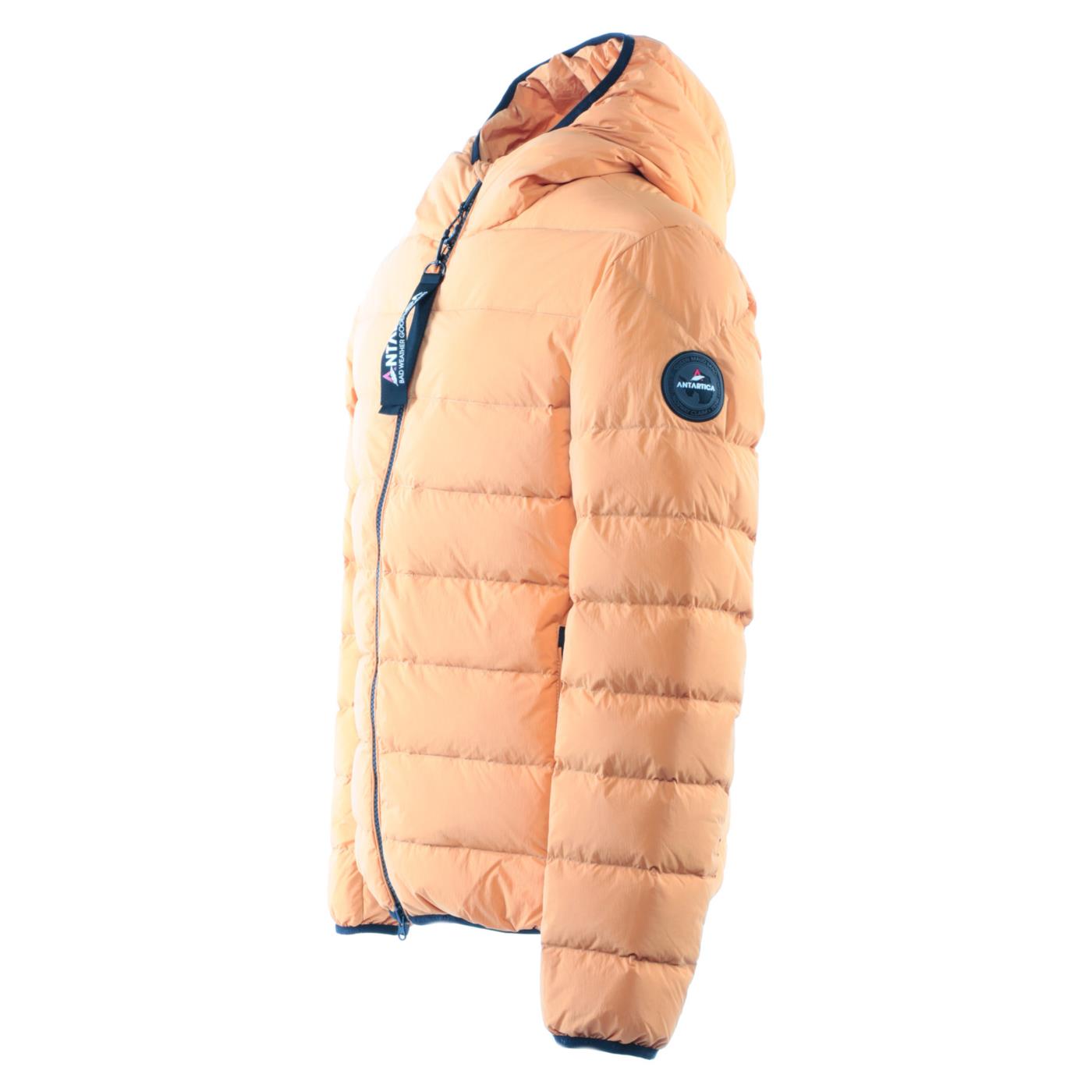 ANTARTICA TARO