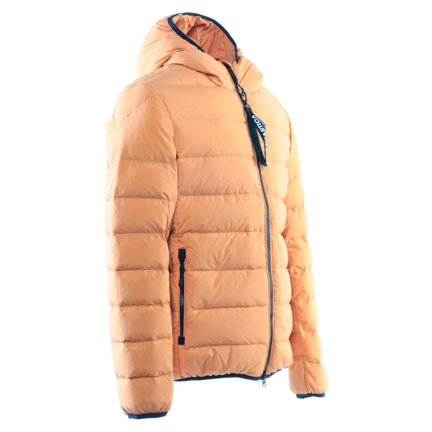ANTARTICA TARO