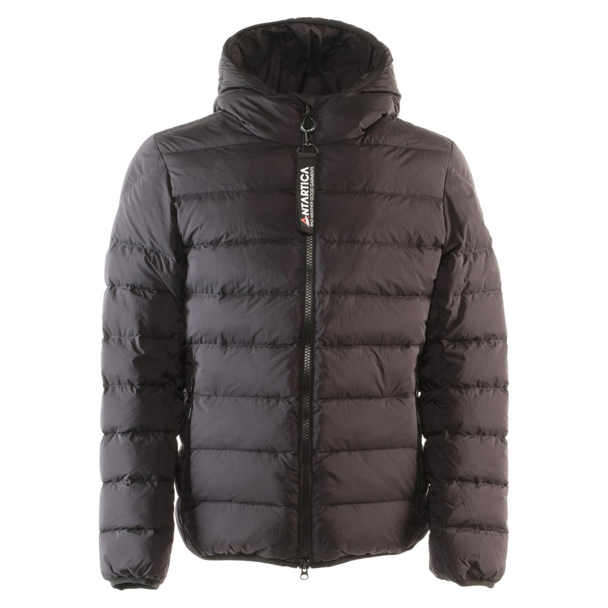 ANTARTICA TARO