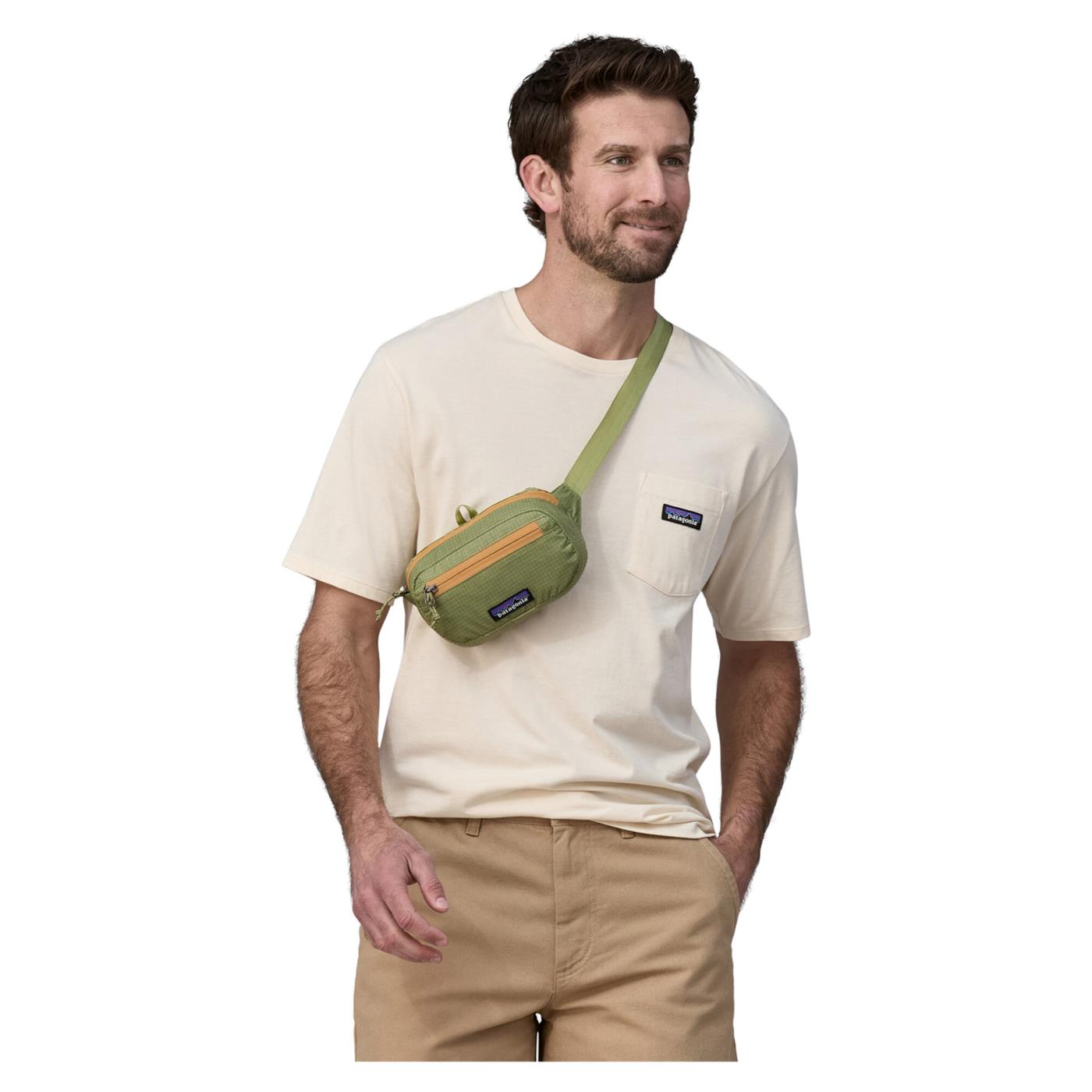 PATAGONIA BLACK HOLE MINI HIP PACK