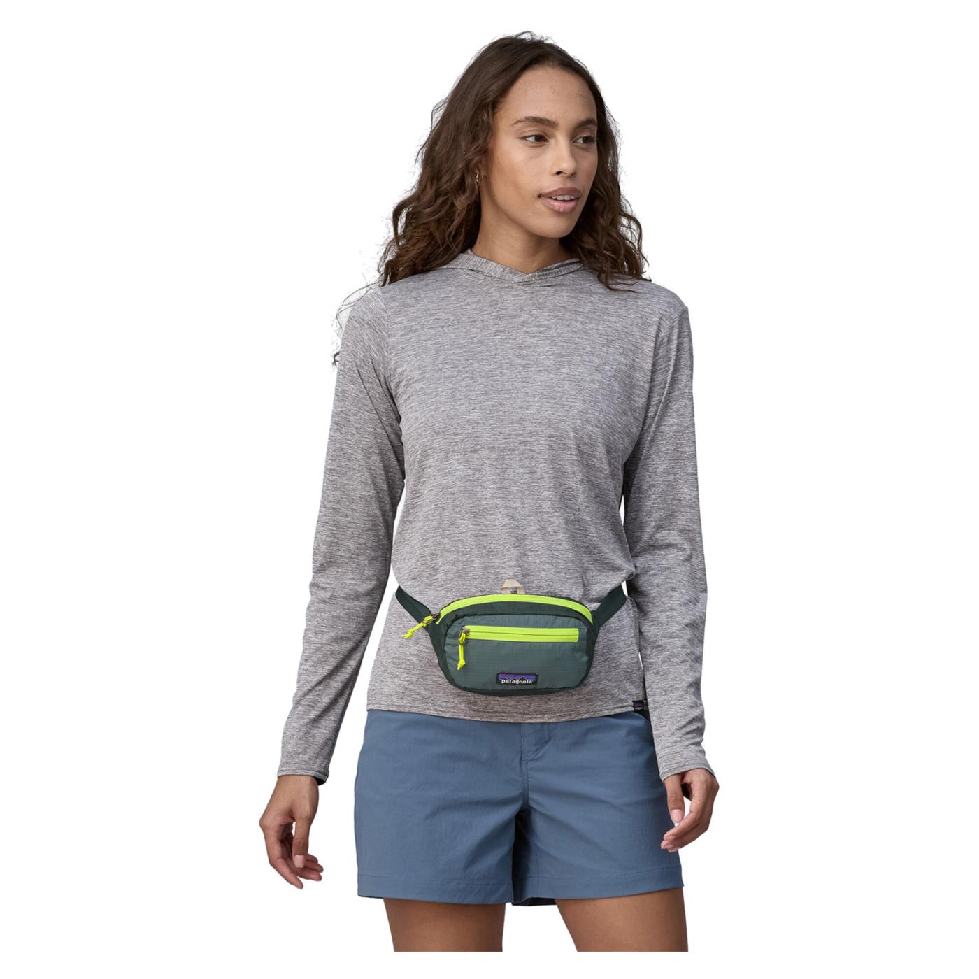 PATAGONIA BLACK HOLE MINI HIP PACK