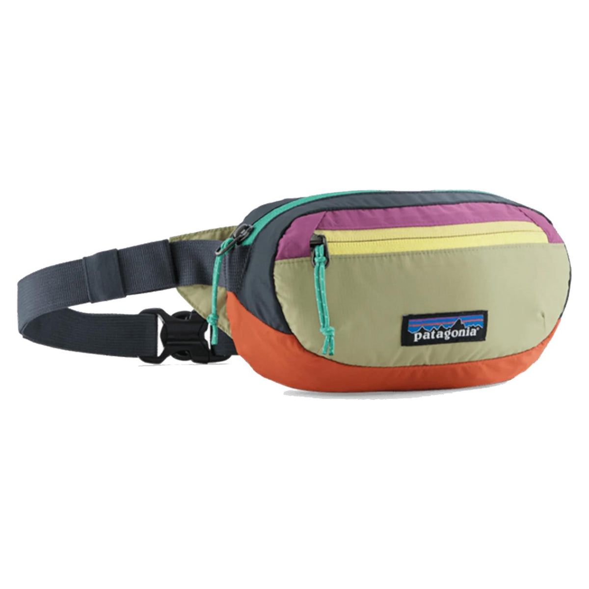 PATAGONIA TERRAVIA MINI HIP PACK