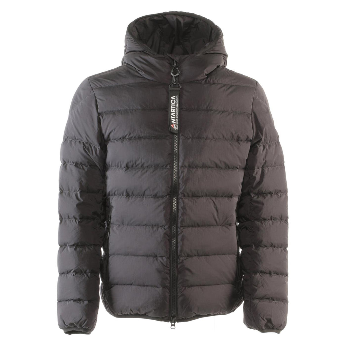 ANTARTICA TARO