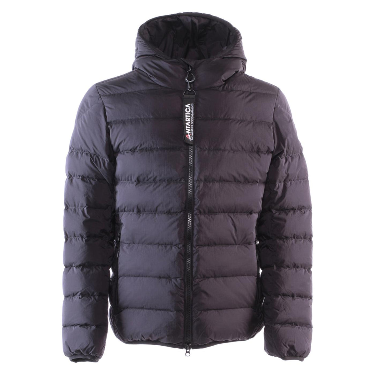 ANTARTICA TARO