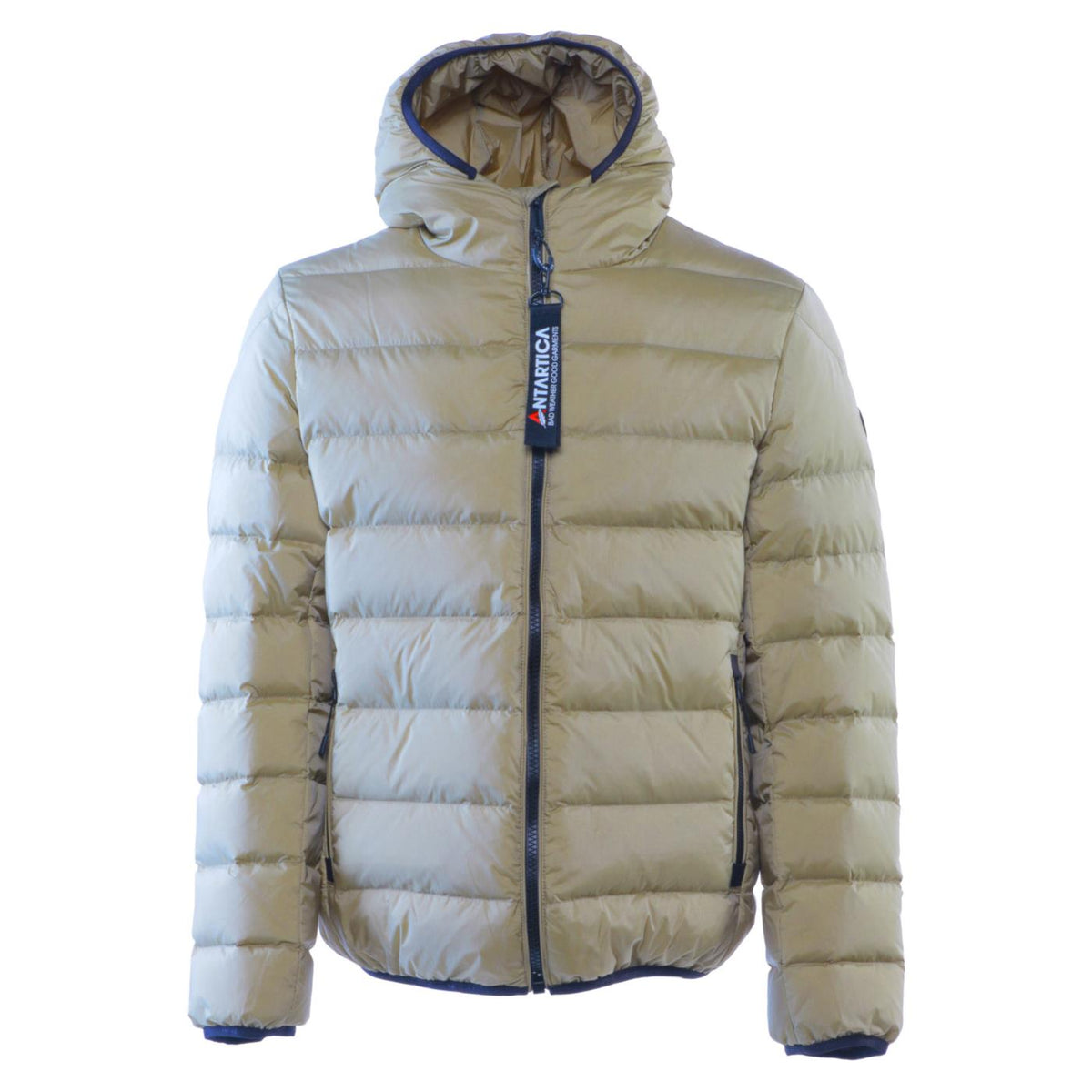 ANTARTICA TARO