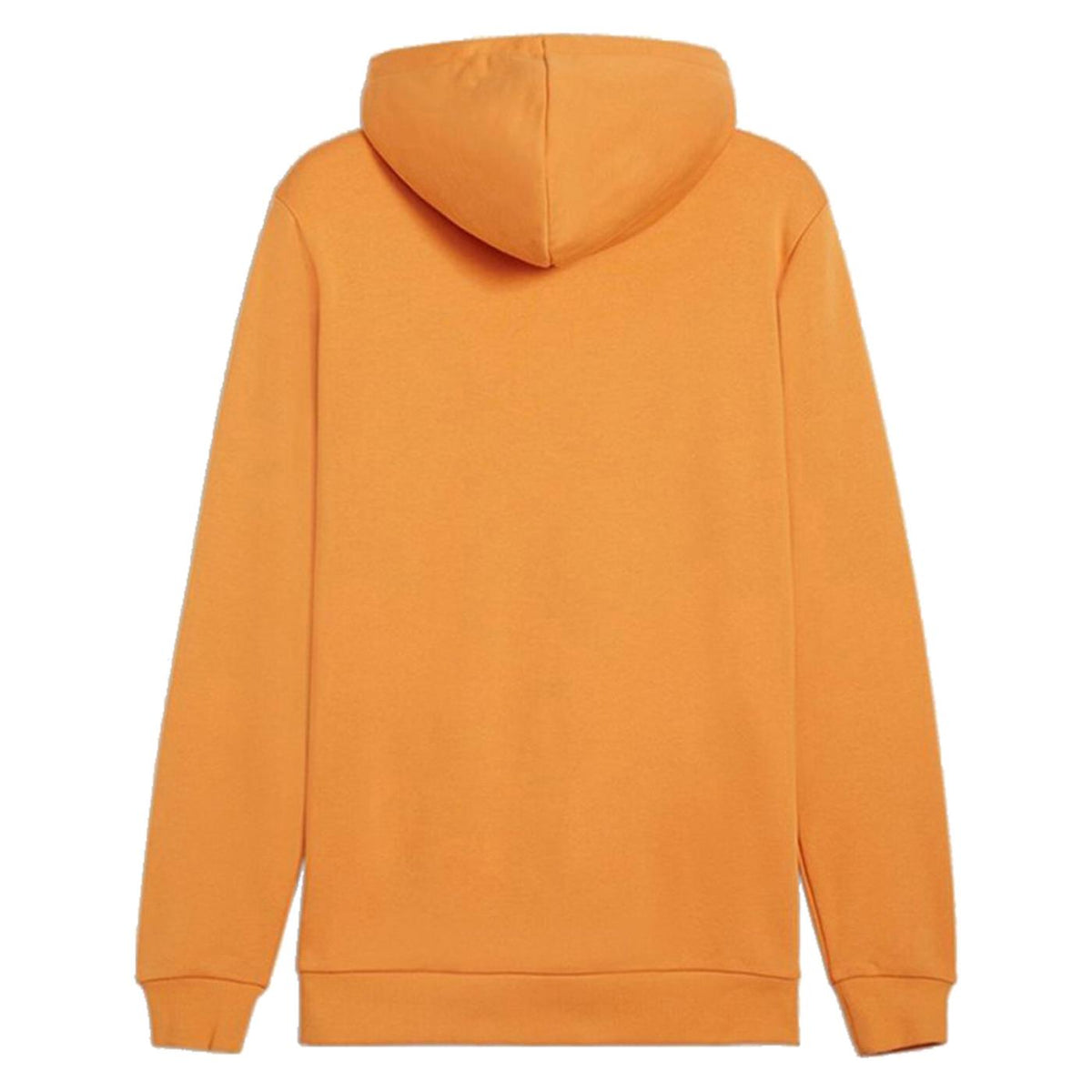 PUMA BIG LOGO HOODIE - seconda immagine