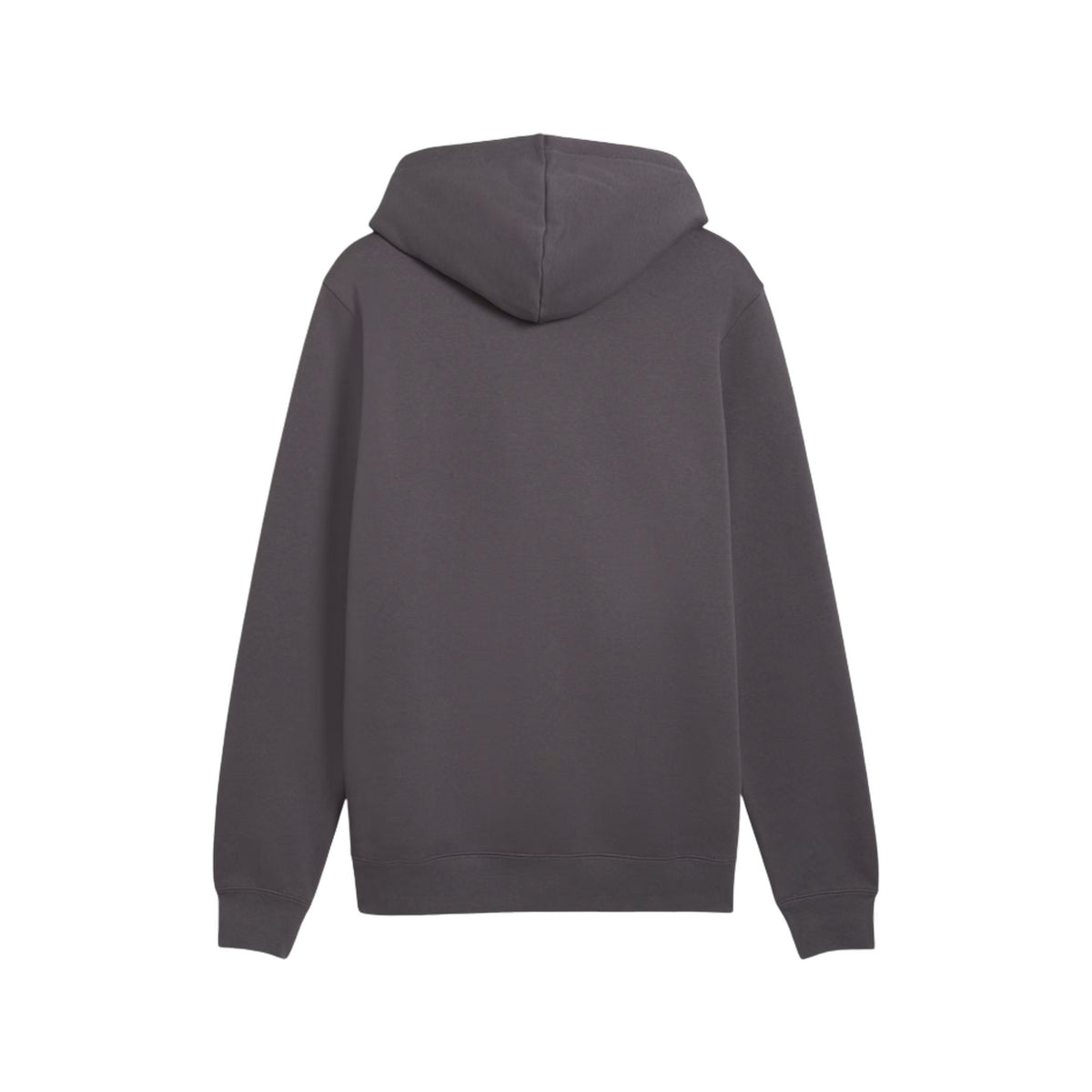 PUMA ESS 2 COLOR LOGO HOODIE - seconda immagine
