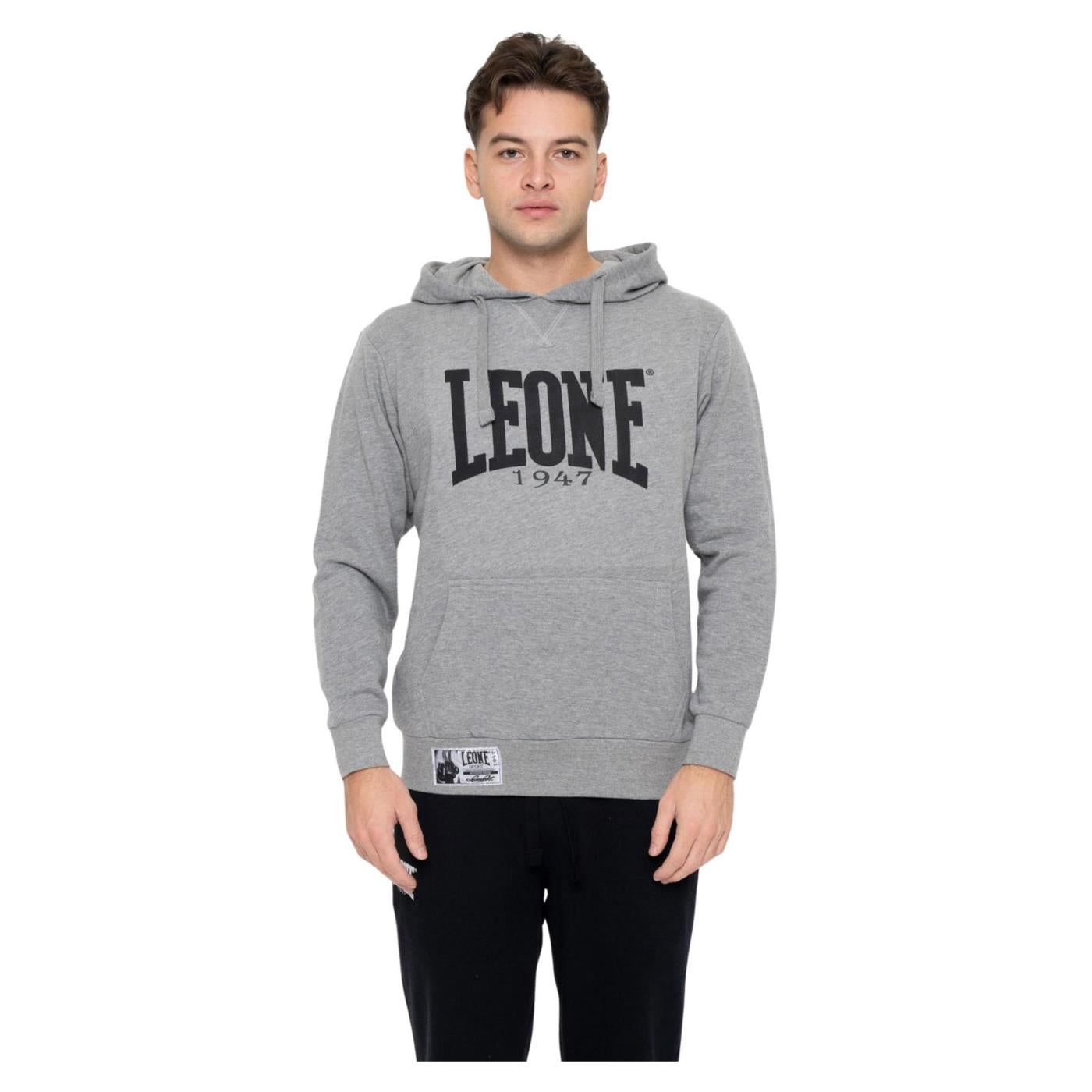 LEONE FELPA HOODY FIGHT ACADEMY - Grigio chiaro - immagine principale