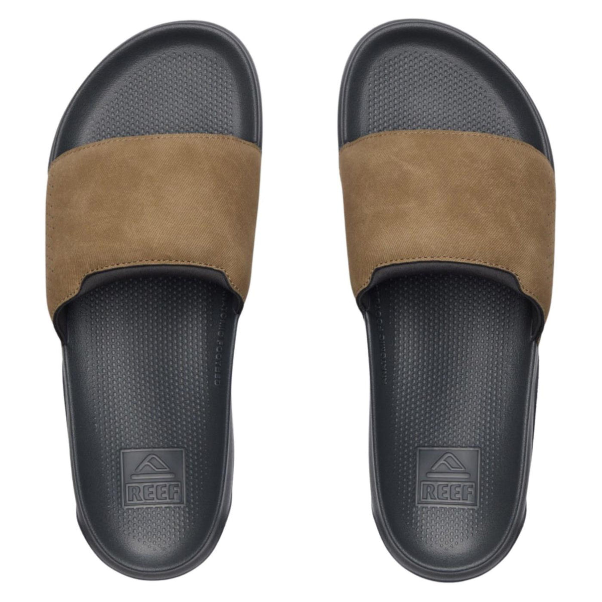 REEF TAILSLIDE - seconda immagine