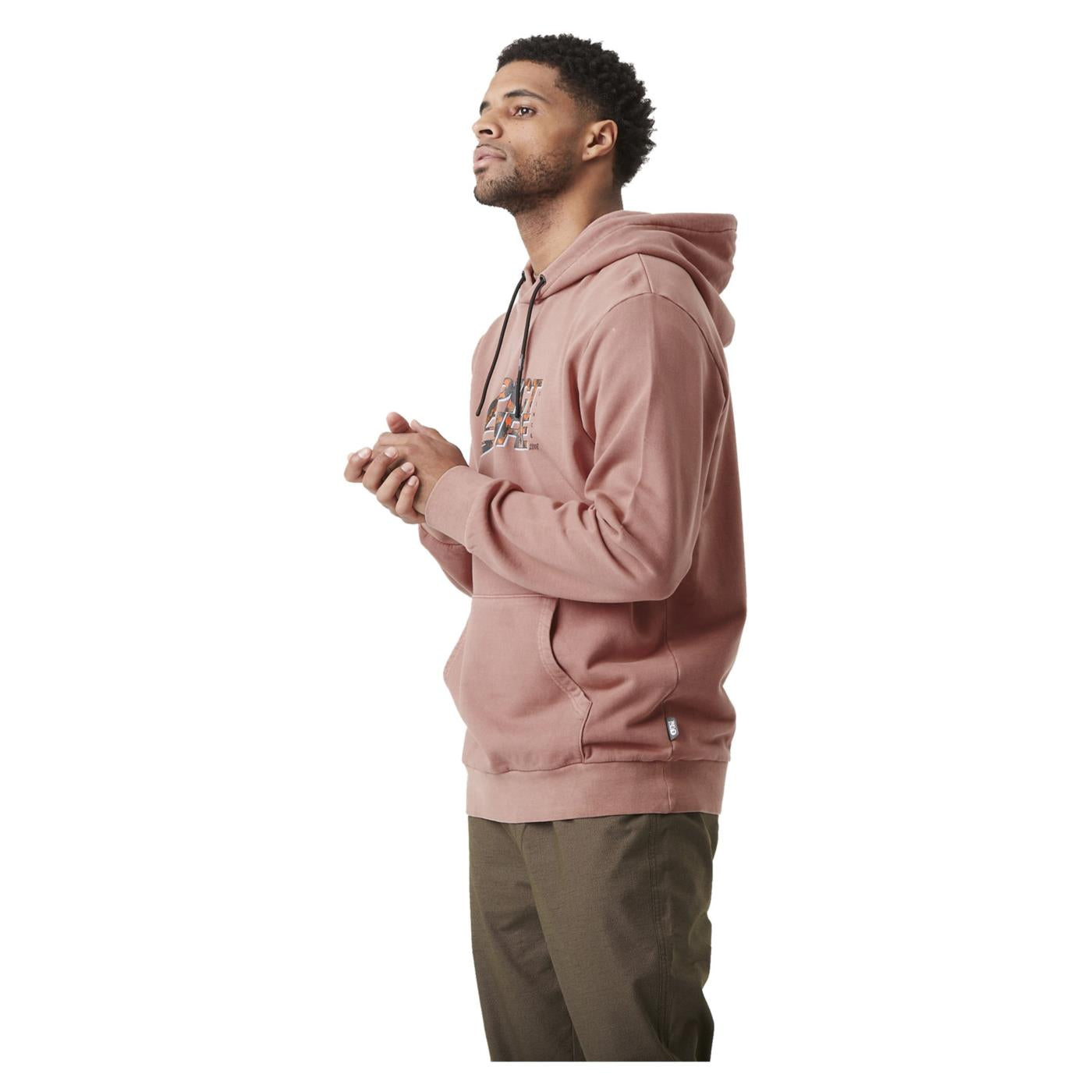 PICTURE BASEMENT LEO HOODIE