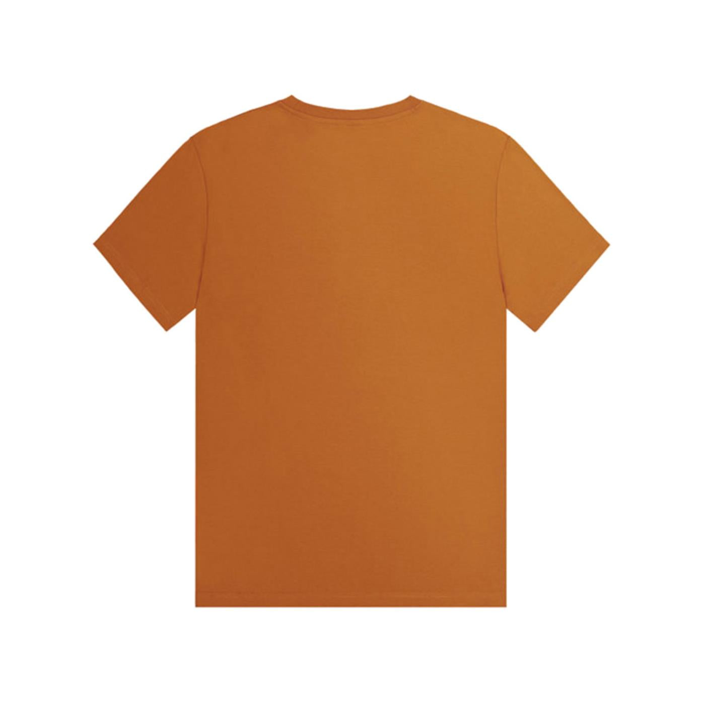 PICTURE CUSTOM VAN TEE