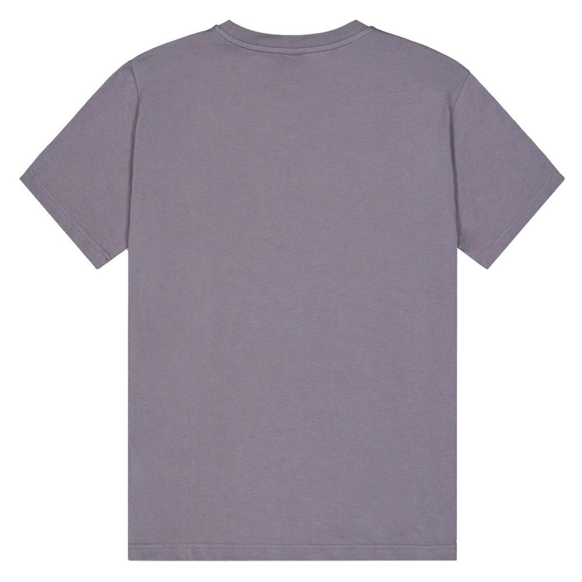 PICTURE BASEMENT ASTER TEE - seconda immagine