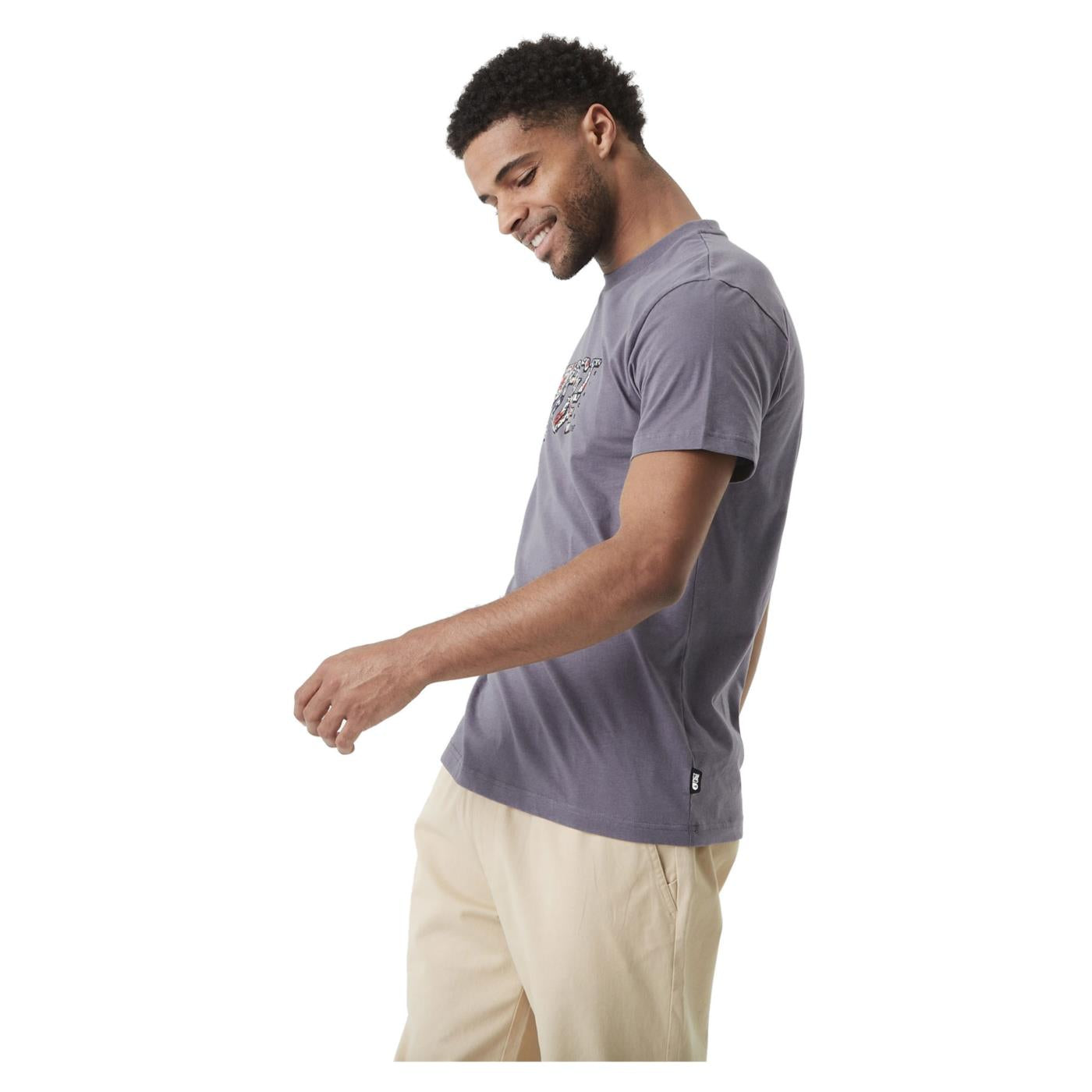 PICTURE BASEMENT ASTER TEE