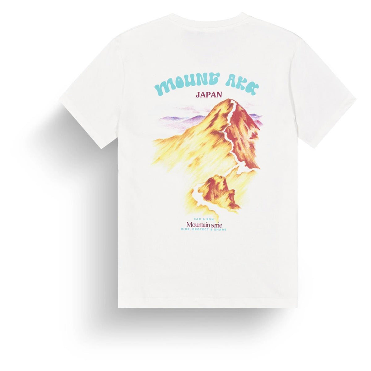 PICTURE DS MOUNT AKA TEE - seconda immagine