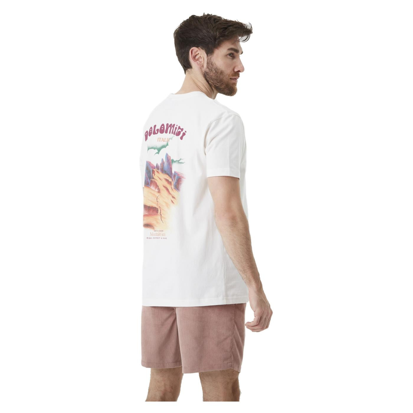 PICTURE DS DOLOMITI TEE