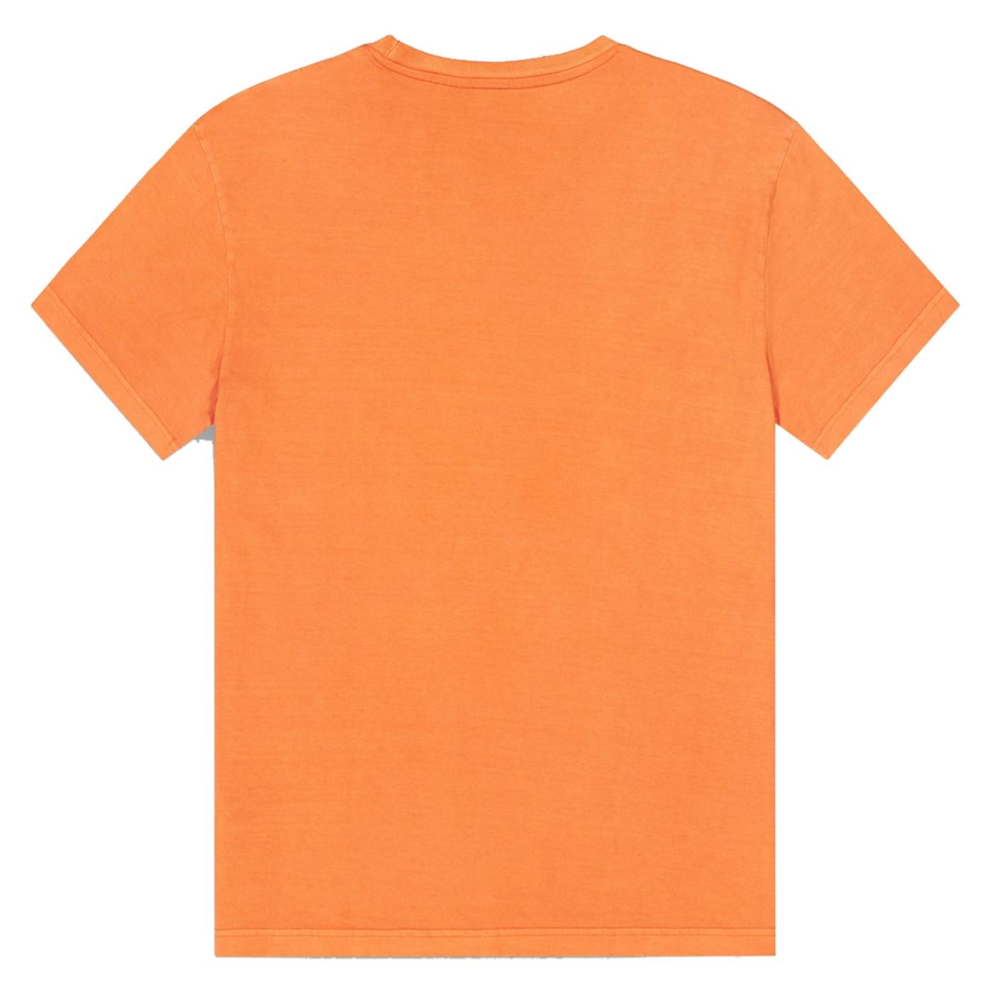 PICTURE BASEMENT LEO TEE